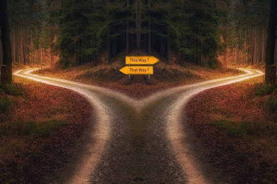 Ein Weg trennt sich in zwei, dazu Schilder "This Way?" und "That Way?" (Bild: PixxlTeufel auf Pixabay)