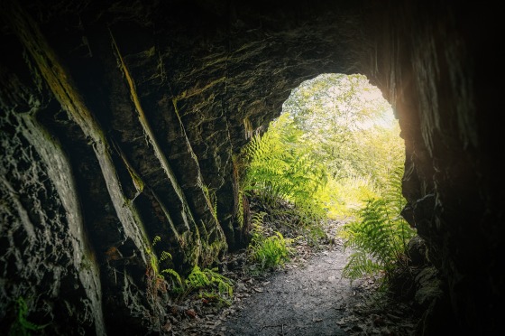 Höhle von innen, draußen sieht man Wald und Gras (Image by Peter H from Pixabay)